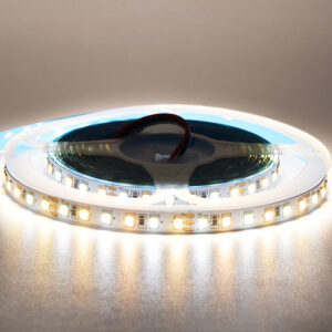 12V 5mm 120leds/m